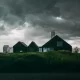 Sustainable means embracing chaos